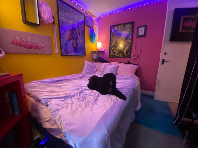 Cute Double room in East London Main Photo