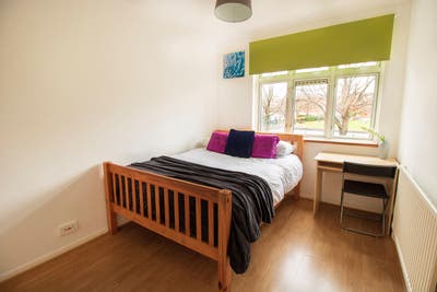 Cosy Double in Canary Wharf Main Photo