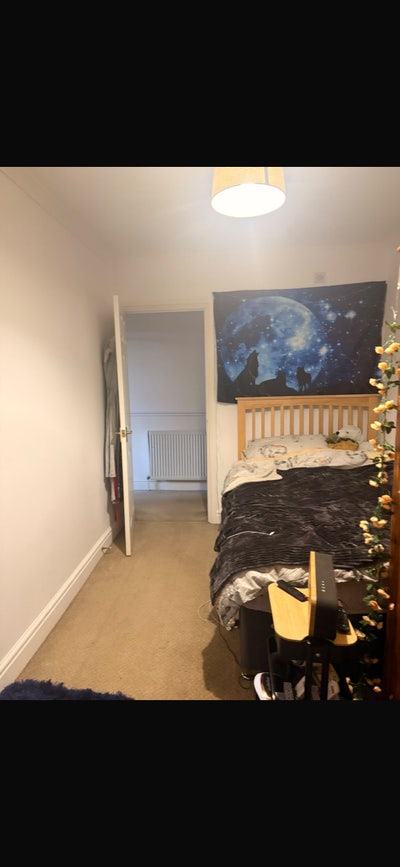 Double Room in Redland available  Main Photo