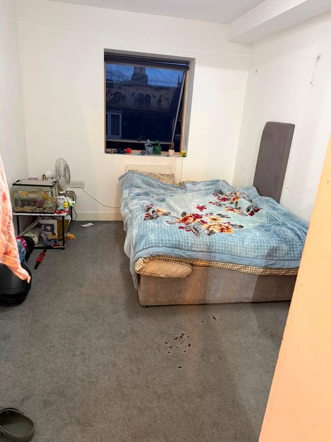 Room for rent  Main Photo