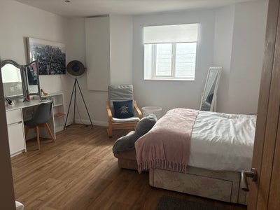 Basement flat, light and airy Main Photo