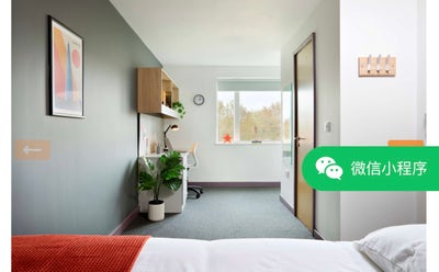 Spacious Gold Ensuite Room – Near University of Wa Main Photo