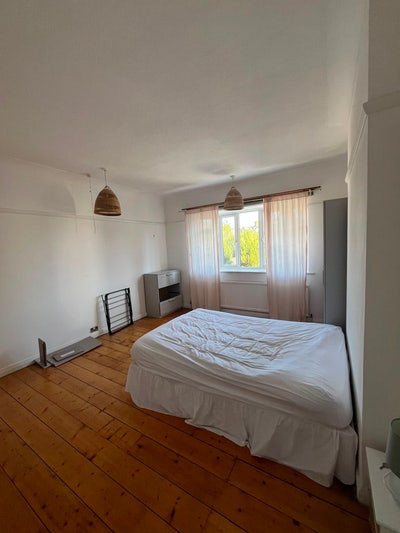 Large Double Room in all Female Houseshare Main Photo