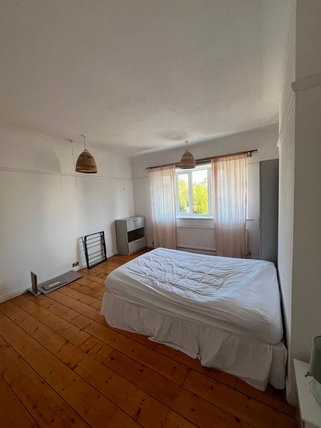 Large Double Room in all Female Houseshare Main Photo