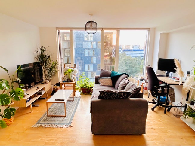 Saxton Garden Apt- Spare room available Main Photo