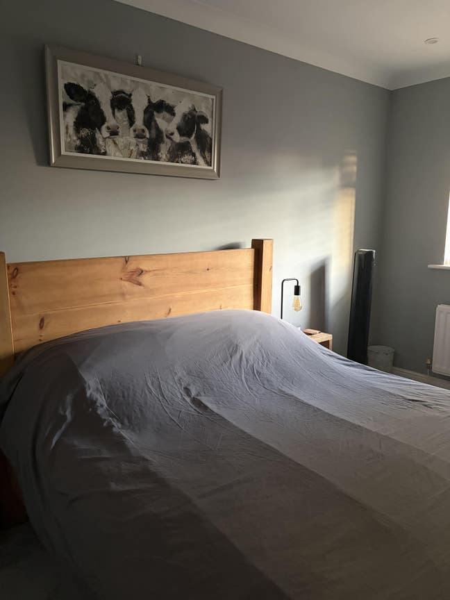 Furnished double room to rent  Main Photo