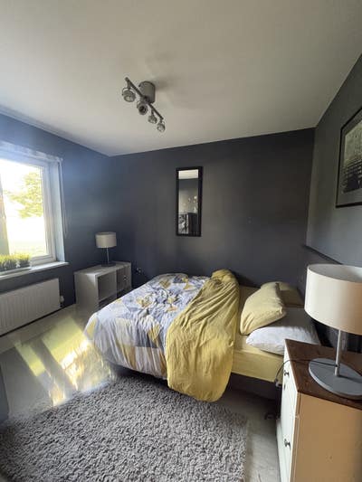 Room to rent  Main Photo