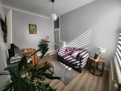 Comfortable double room in the heart of Balham Main Photo