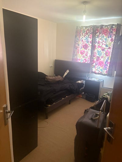 Flatmate needed Main Photo