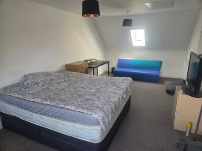Large double room to rent  Main Photo