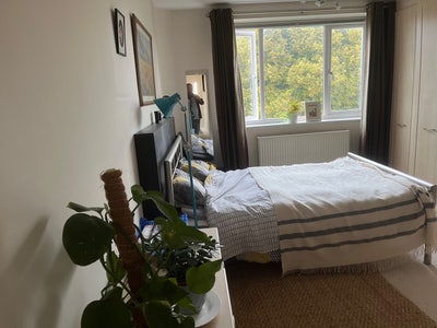 Large Double Room in a Lovely Flat Main Photo