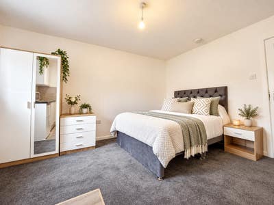 Spacious Studio Room Available Main Photo