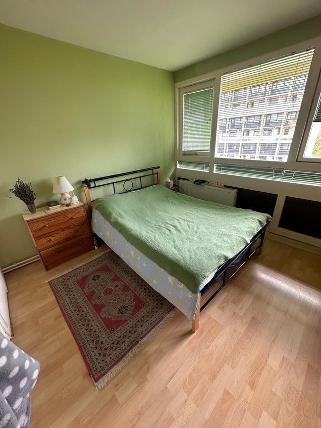 Double Room in Roehampton Main Photo