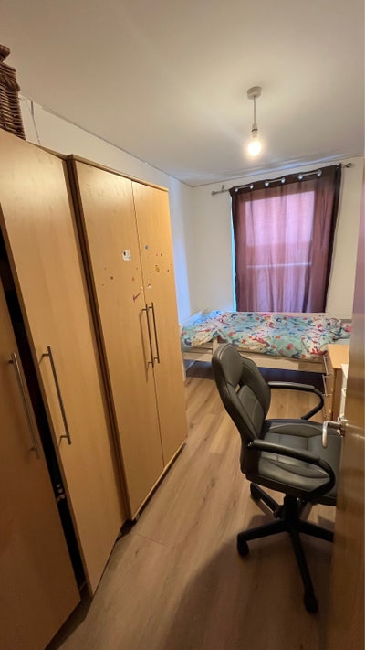 Single room available  Main Photo