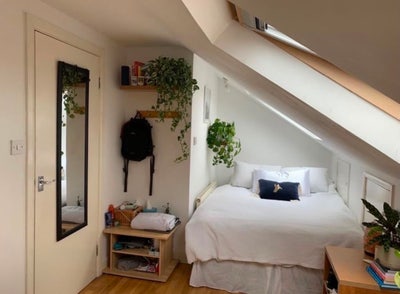 Bright Double Room in Friendly House Main Photo