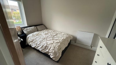 1 Room to Rent in a Spacious Flat Main Photo