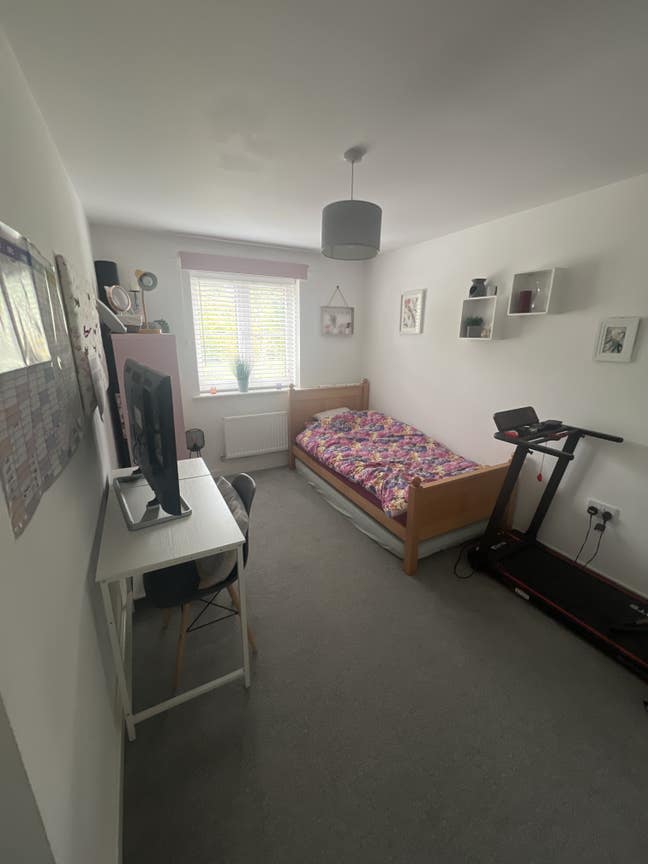 Lovely spare room available  Main Photo