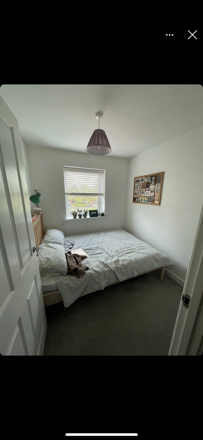 Double Bedroom available  Main Photo