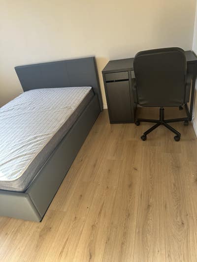 Sunny Double Room to Let Main Photo