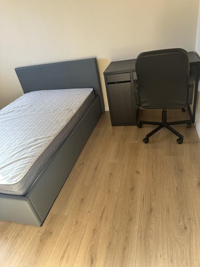 Room to Rent Main Photo