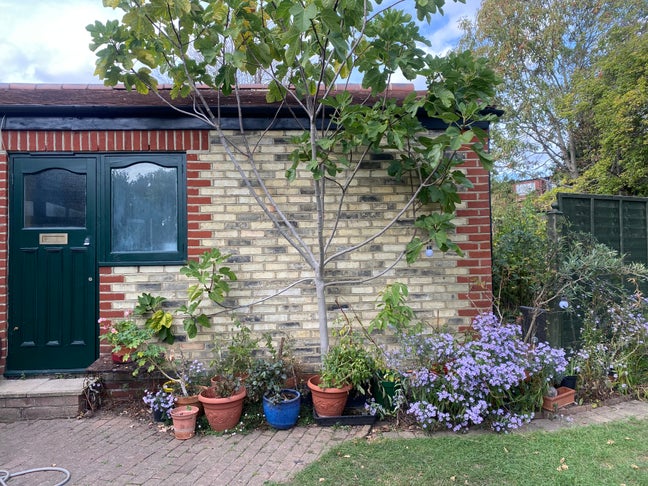 Delightful detached cottage in quiet garden  Main Photo
