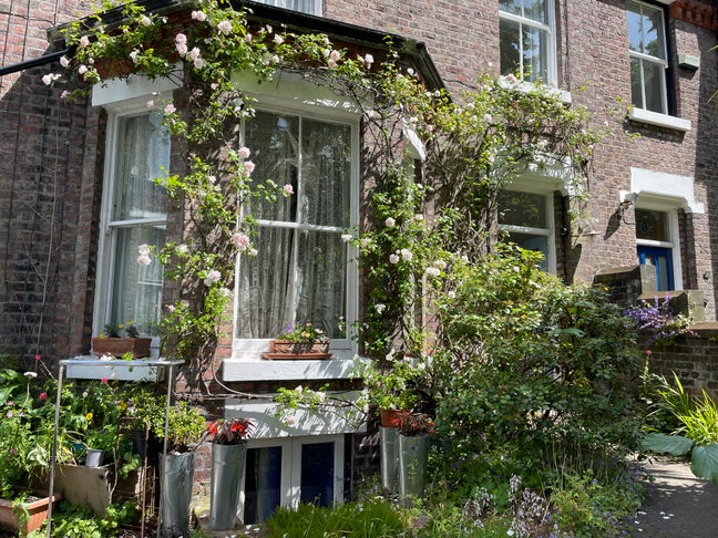 Large comfy room opposite Sefton Park Main Photo