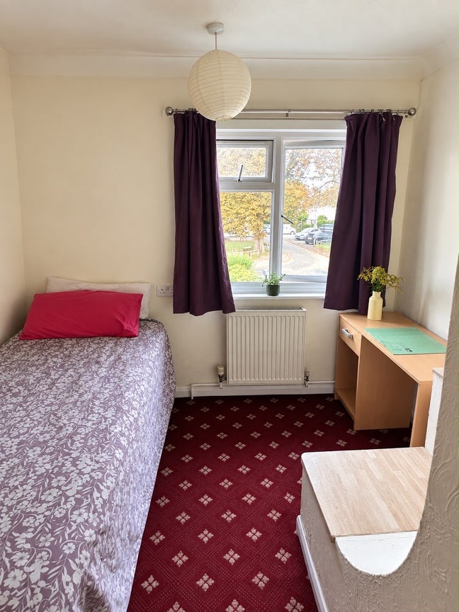 Single room available  Main Photo