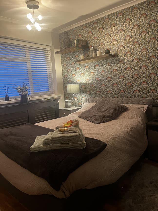 Double Room, Must Like Pets and Cooking Main Photo