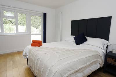 King Rm | Professional | Private Parking |Spacious Main Photo