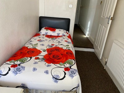 Room for rent in le3 area next to city centre Main Photo