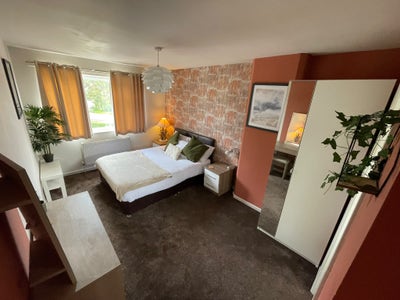 1St Month 1/2Price Xl Ensuite Room - Weekly Clean Main Photo