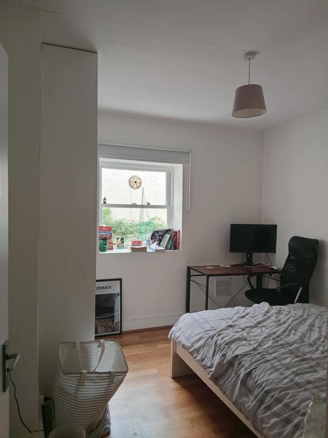 Room in 2 bed flat near Brixton with garden! Main Photo