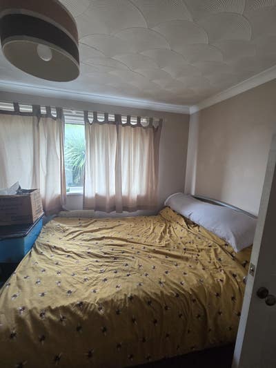 Looking for reliable and happy housemate!  Main Photo