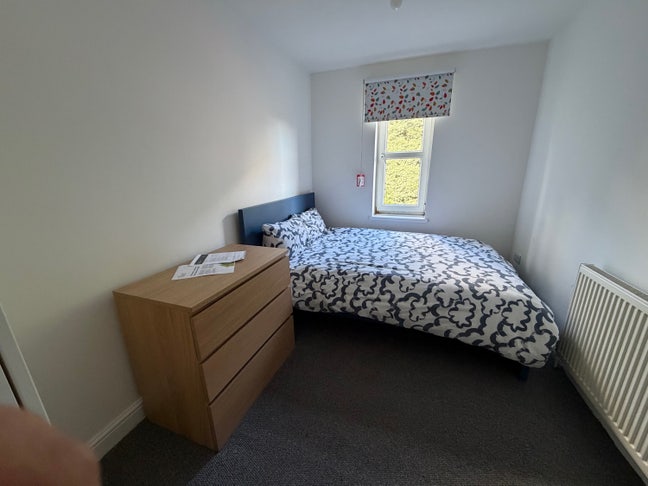 Affordable clean rooms available  Main Photo