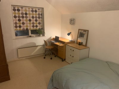 3 private rooms in peaceful Staverton home Main Photo