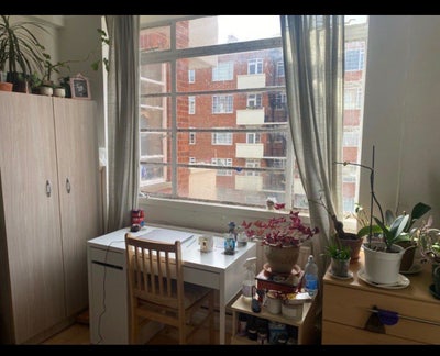 Big and Luxurious Double Room for a Female Only Main Photo