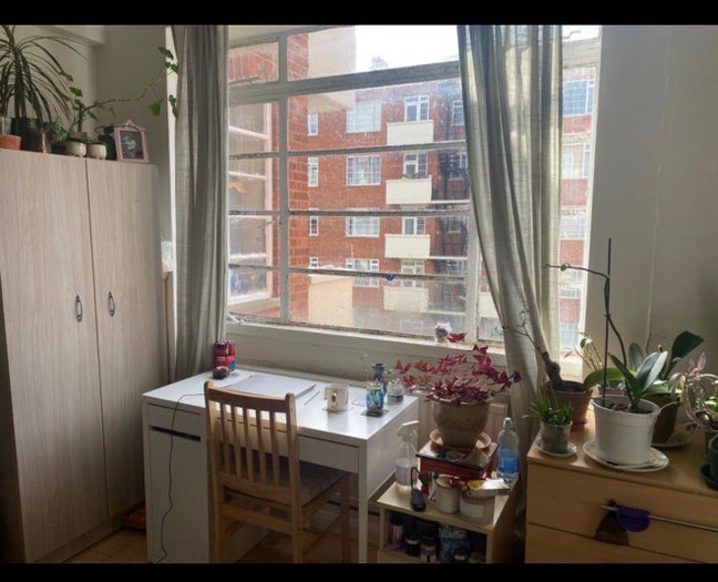 Big and Luxurious Double Room for a Female Only Main Photo