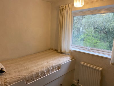 Single Room Available in a Great House Share Main Photo