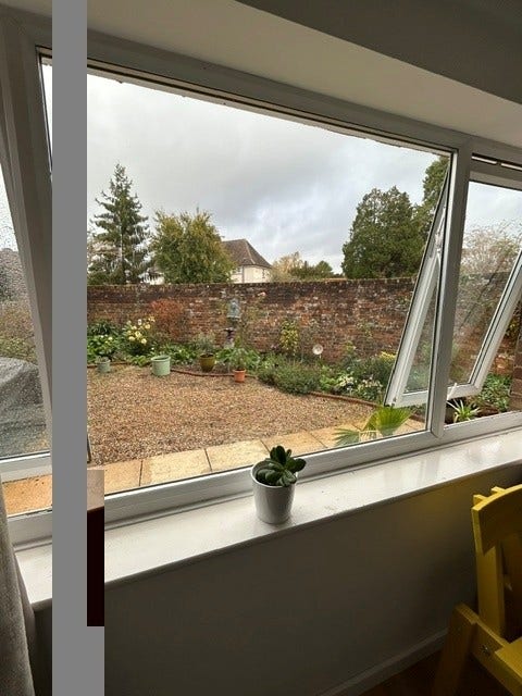 Garden Suite - Available Now Main Photo