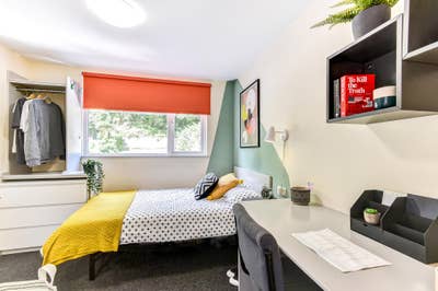 Student Room in Brighton | All Bills Inc  Main Photo