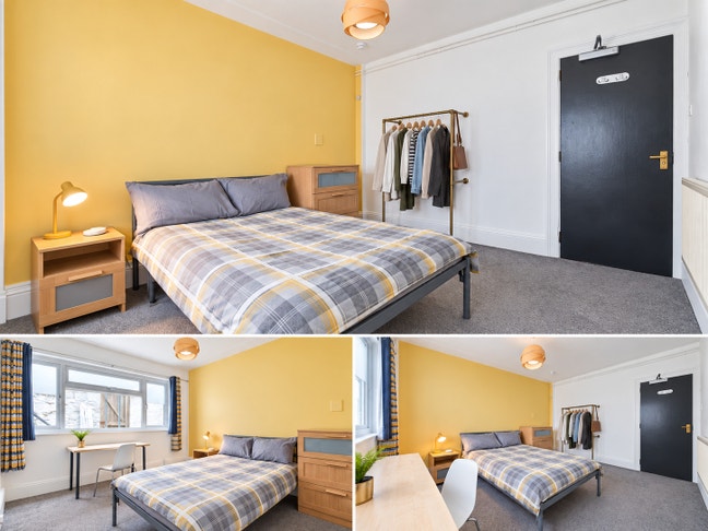 Double room, right opposite Plymouth Uni  Main Photo