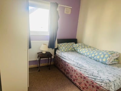 Single room Haverfordwest  Main Photo
