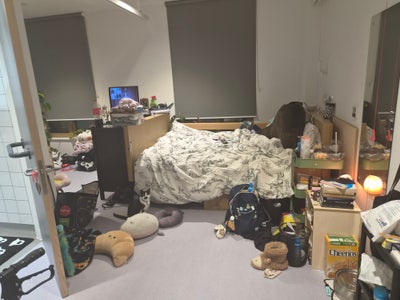 Replacement tenant needed - purdown view, UWE Main Photo