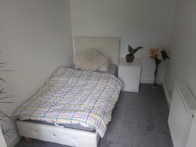 1 room to fully furnished  Main Photo