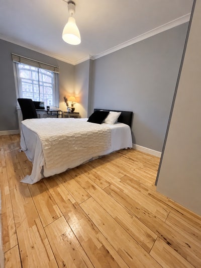 Paddington 🐻- Move in November! Main Photo