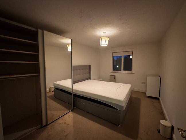 Double room for rent in Ware Main Photo