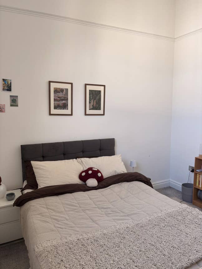 Spacious Room in Stockwell Main Photo