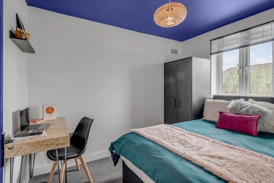 Professional Double Room Available  Main Photo