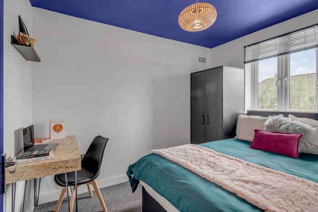 Professional Double Room Available  Main Photo