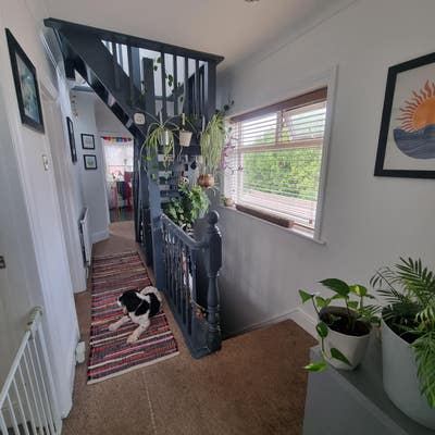Vegan/Queer friendly Housemate Wanted! Main Photo